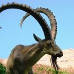 Profile Picture of Andrew R. Wuthrich (@andrewr.wuthrich) on Instagram