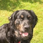 Profile Picture of Mark Milsom (@mark.milsom.3) on Facebook