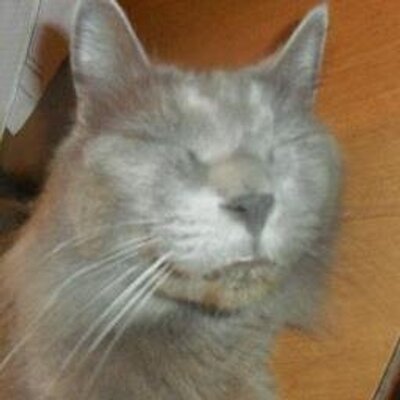 Profile Picture of Jerry Landry (@koonass206) on Twitter