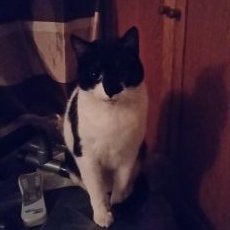 Profile Picture of John E Relf (@JohnERelf1) on Twitter