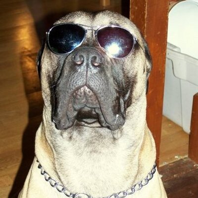 Profile Picture of Joe Matheson (@mathesonjoe) on Twitter