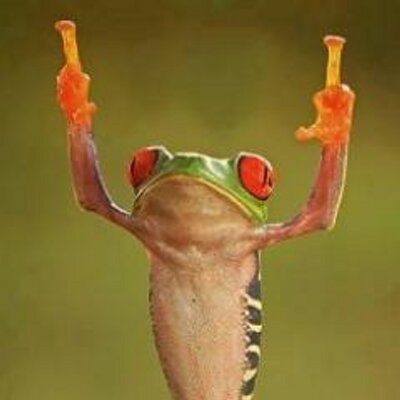 Profile Picture of Dude (@perl0n) on Twitter