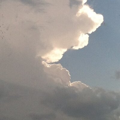 Profile Picture of Steve Giuliano (@SteveGiuliano) on Twitter