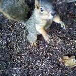 Profile Picture of Kevin Schuette (@bananaramapanorama) on Instagram