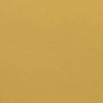 Profile Picture of Daniel_Garcia_Belman_ (@daniel_garcia_belman_) on Instagram