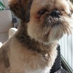 Profile Picture of Monica Schneider (@monica.schneider.73) on Instagram