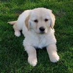 Profile Picture of Michael Rogozinski (@michael.rogozinski.7) on Instagram