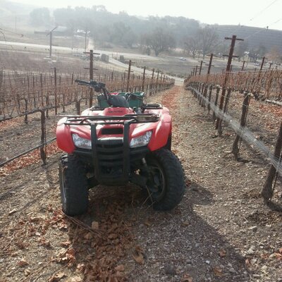 Profile Picture of Rogelio Ramón (@RogelioRamn) on Twitter