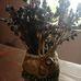 Profile Picture of Andrea Lazar (@andrea.lazar.7503) on Facebook