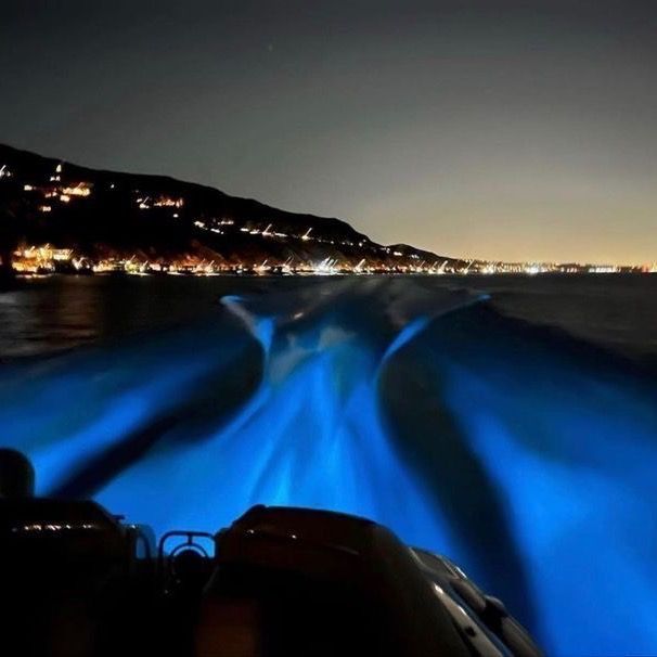 Céline - Tiktok Profile Picture of Céline (@celine_torre) on Tiktok