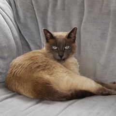 Profile Picture of michelbompas (@michelbompas) on Tiktok