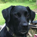 Profile Picture of Paige Horton (@paigeahorton) on Instagram