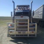 Profile Picture of Jim Bernhardt (@jim.bernhardt.963) on Instagram