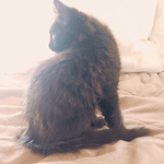 Profile Picture of Minju Kim (@binoche56) on Flickr