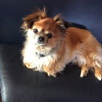 Profile Picture of Debby Arsenault (@debby-arsenault) on Quora
