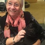 Profile Picture of Sandra O'Rourke (@keiranpaul) on Instagram