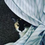 Profile Picture of Maurice M. Orr (@aires_guy) on Instagram