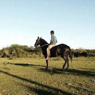 Profile Picture of Sebastian Borda (@sebastian.borda.1694) on Facebook