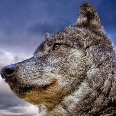 Profile Picture of Daniel Orr (@danielorr35) on Twitter
