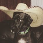 Profile Picture of Dustin Preston ABN KCCO (@big_friedaa) on Instagram