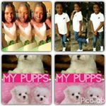 Profile Picture of calla Johnson (@johnson.calla) on Instagram