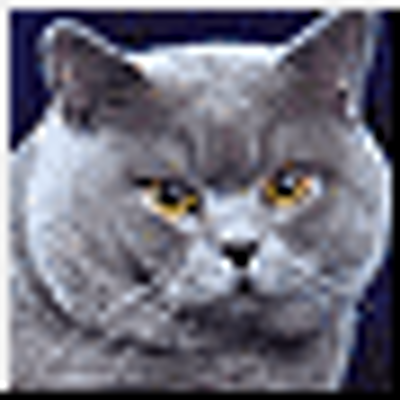 Profile Picture of Isaiah Abraham (@wordmana) on Twitter