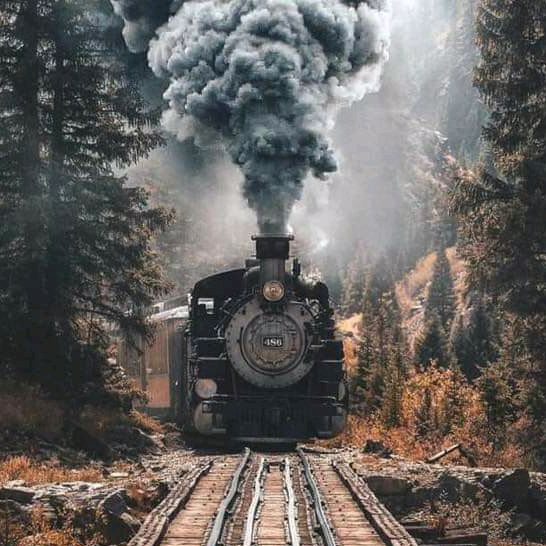 Profile Picture of Larry Lee Stacey (@user2976406494363) on Tiktok