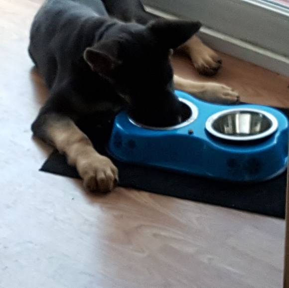 Profile Picture of Evelyn Colonair (@evelyncolonair) on Poshmark