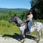 Profile Picture of Lori Aiello Nero (@lilhorselady) on Instagram