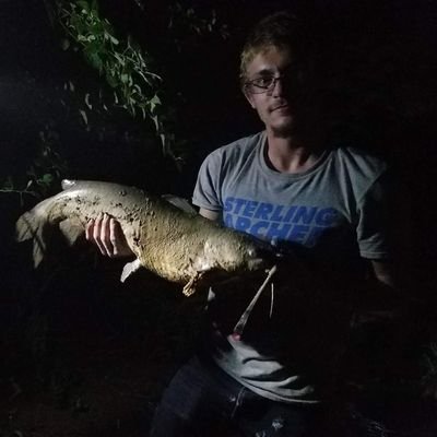 Profile Picture of Kyle Higgs (@Kyle_DudeTV) on Twitter