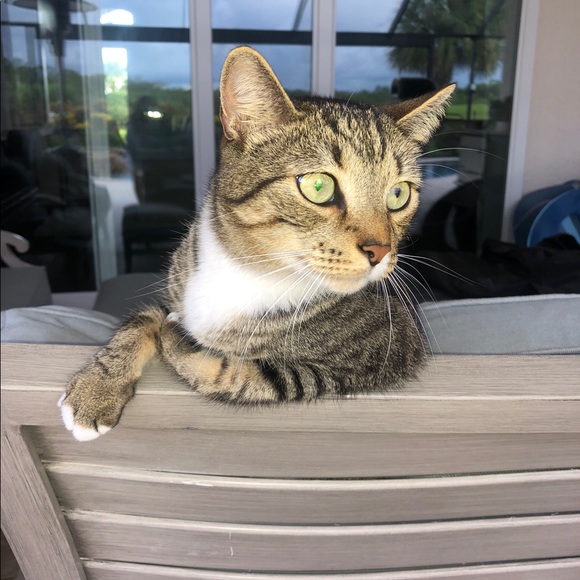 Profile Picture of Debbie Dolan (@tgft2020) on Poshmark