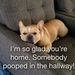 Profile Picture of Shawn Trapp (@shawn3426) on Pinterest