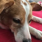 Profile Picture of Jackie Gaughan (@Jackie-Gaughan) on Facebook