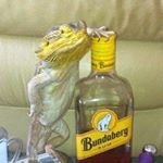 Profile Picture of Adam Griggs (@knubslyman) on Instagram