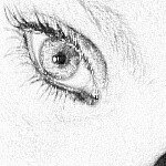 Profile Picture of Shelly Lein (@shelly_lein) on Instagram