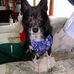 Profile Picture of Larry Grover (@larry.grover.54) on Facebook