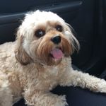 Profile Picture of Raymond J. Trexler II (@rtrexler4143) on Instagram