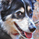 Profile Picture of John Chalmers (@northerntourer50) on Flickr