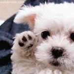 Profile Picture of Bhamini Shah (@bhamini.shah.73) on Instagram