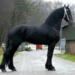 Profile Picture of Eric Garcia Torres (@elterriblescrappy86) on Instagram