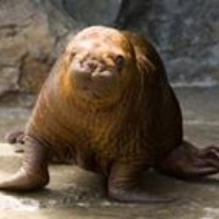 Profile Picture of David Elswick (@david-elswick-1) on Quora