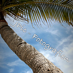 Profile Picture of JPic - Fotografien (@JPic - Fotografien) on Flickr