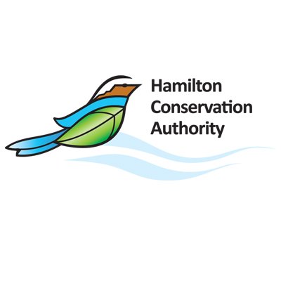 Profile Picture of Hamilton CA (@Hamilton_CA) on Twitter