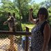Profile Picture of Teresa Cannon (@tcannon11) on Pinterest
