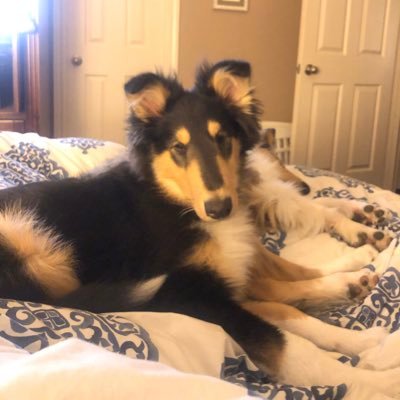 Profile Picture of Mer (@MeredithMaulsby) on Twitter