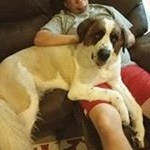 Profile Picture of Travis Kersey (@texmech11) on Instagram