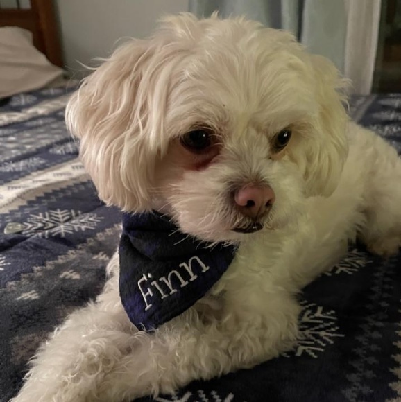 Profile Picture of Robin Adrianse (@robinadrianse) on Poshmark