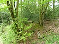 Profile Picture of Perry Copse Outcropon Wikipedia
