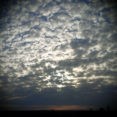 Profile Picture of Tammy Wilson-Varney (@VarneyWilson) on Twitter