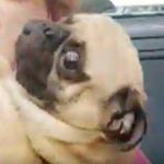 Andy Coulter - Instagram Profile Picture of Andy Coulter (@andy.coulter) on Instagram